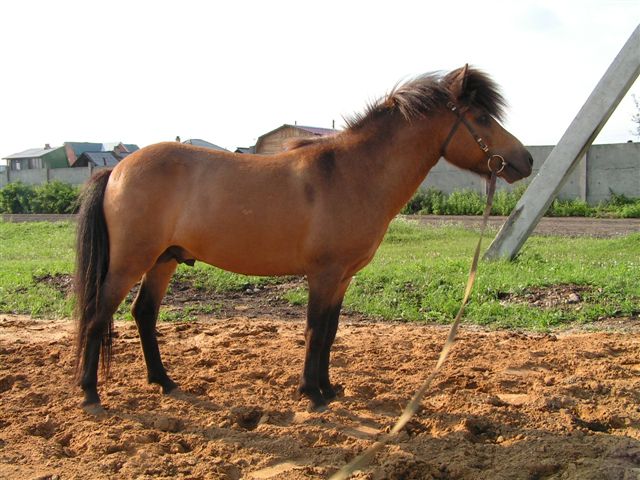 f_2138126.jpg