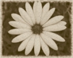  (150x120, 65Kb)