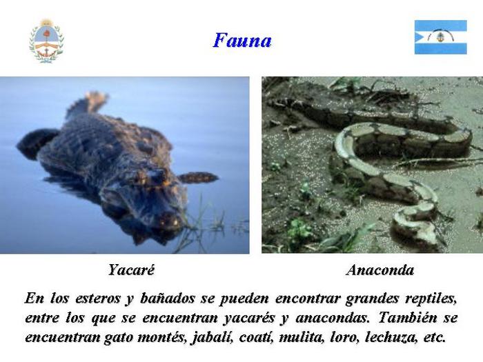  (700x525, 55Kb)