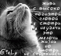  (120x110, 27Kb)
