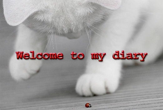  (521x350, 49Kb)