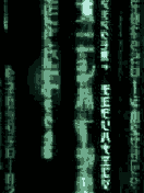  (132x176, 16Kb)