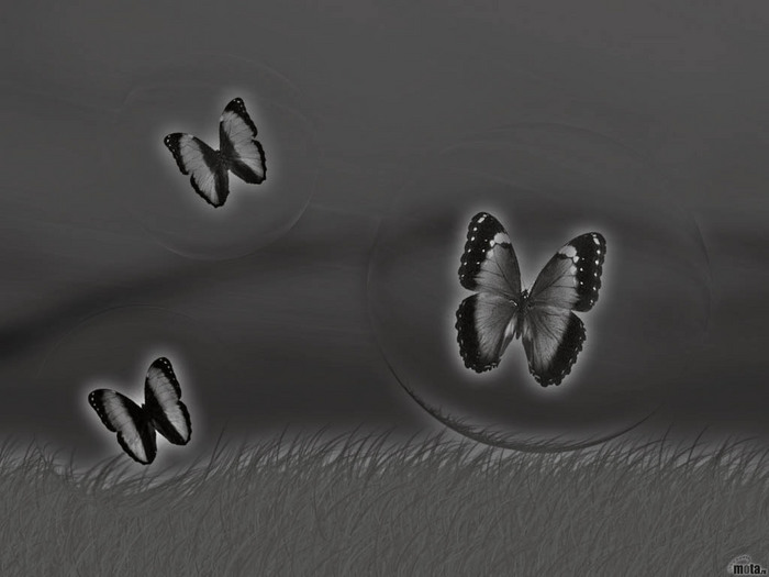  (700x525, 64Kb)