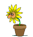 FLOWER34.gif (113x128, 10Kb)