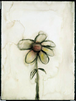 3852512_Flower_picture.jpg (248x329, 19Kb)