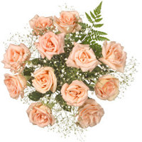 _pinkroses.jpg (200x200, 16Kb)