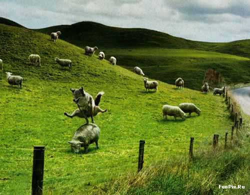 136.jpg (500x390, 30Kb)