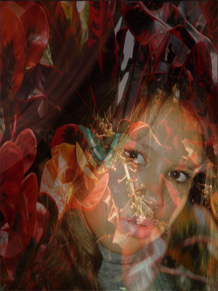 PB300178_2.jpg (450x600, 67Kb)