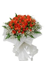 3415492_001.jpg (150x200, 8Kb)