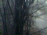 05-11-05_0851.jpg (160x120, 3Kb)