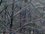 14-02-05_1136.jpg (160x120, 5Kb)