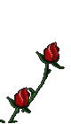 flowers28.gif (80x140, 12Kb)