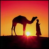 miraj26i.jpg (100x100, 4Kb)