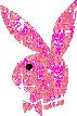 pl2.JPG (71x107, 3Kb)
