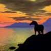 horse.jpg (100x100, 3Kb)