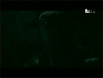 many_men.gif (150x113, 333Kb)