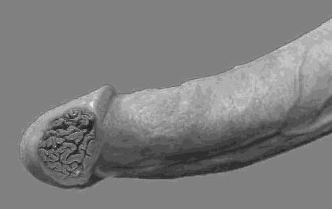 kreng.jpg (475x300, 12Kb)