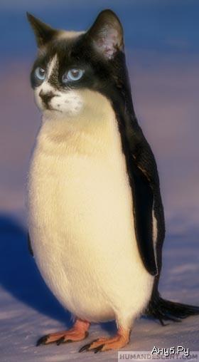 1133878670_i_1067.jpg (280x508, 15Kb)