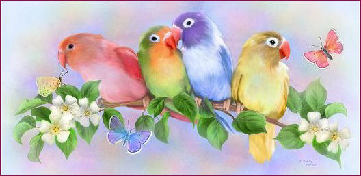539772_RainbowOfLorikeets.jpg (528x257, 33Kb)