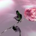 20538-128.jpg (128x128, 2Kb)