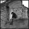 4910075.gif (100x100, 12Kb)