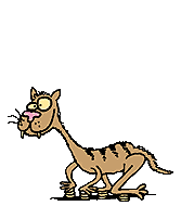 cat1.gif (179x190, 12Kb)