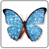 .gif (100x100, 7Kb)