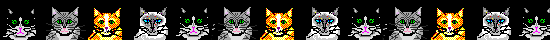 cat1.gif (550x40, 4Kb)