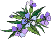 .gif (106x81, 9Kb)