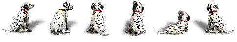 sdog1.gif (484x86, 54Kb)