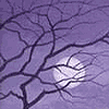 luna.gif (100x100, 9Kb)