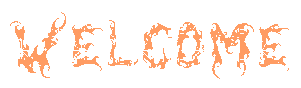 312358_260568_174985_41956_3069235.gif (301x88, 4Kb)