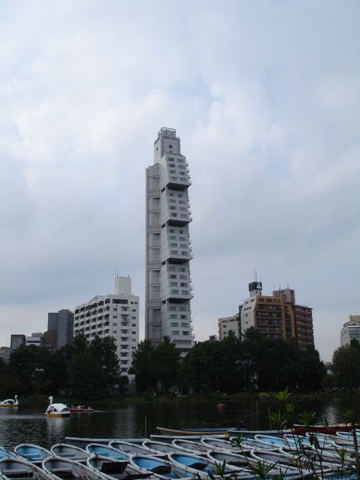 DSC00500.JPG (525x700, 55Kb)