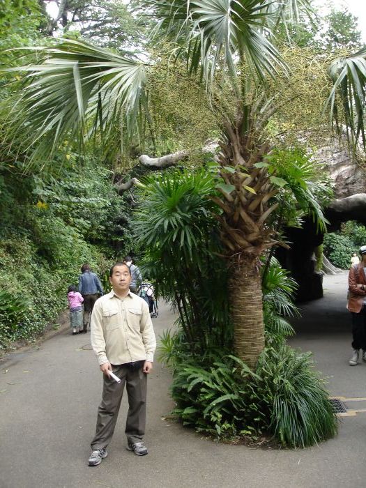 DSC00529.JPG (525x700, 133Kb)
