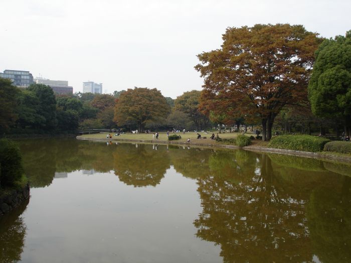 DSC00540.JPG (700x525, 67Kb)