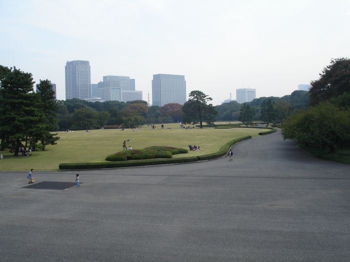 DSC00542.JPG (700x525, 53Kb)
