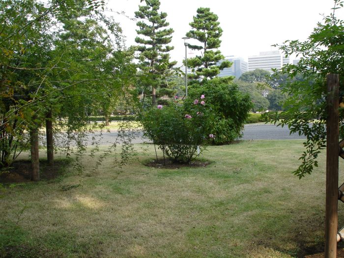 DSC00549.JPG (700x525, 127Kb)
