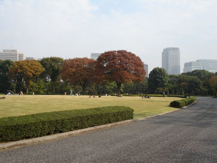 DSC00551.JPG (700x525, 83Kb)