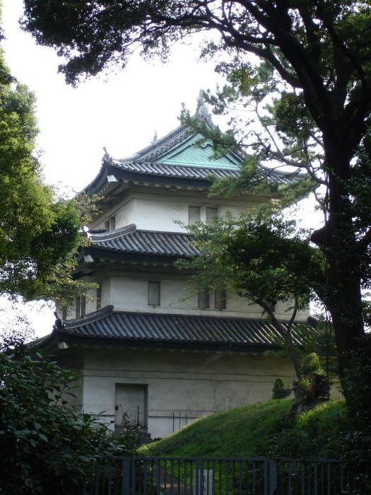 DSC00552.JPG (525x700, 107Kb)