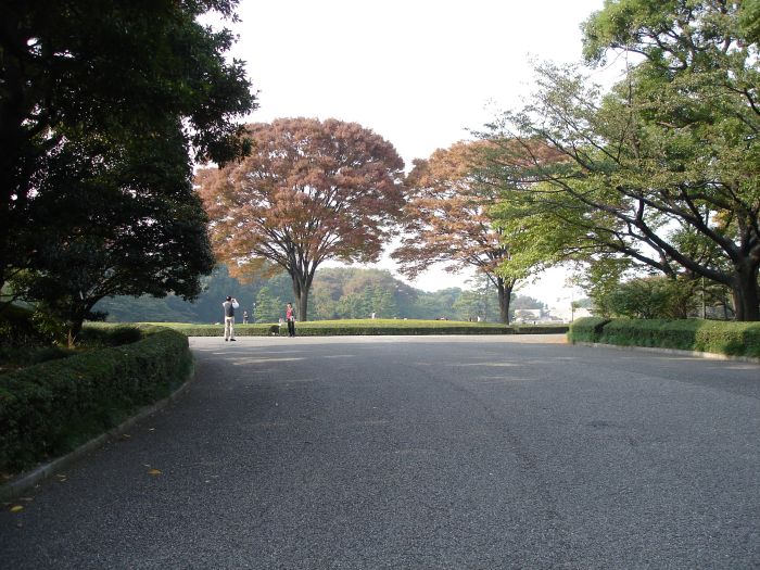 DSC00553.JPG (700x525, 113Kb)