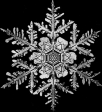 snowflake bw.gif (102x112, 8Kb)