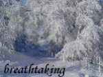 xmas snow breathtaking.gif (150x112, 28Kb)