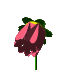 2f2.gif (70x70, 5Kb)