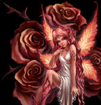 4240920_3941186_750697_pink_rose1.jpg (145x150, 37Kb)