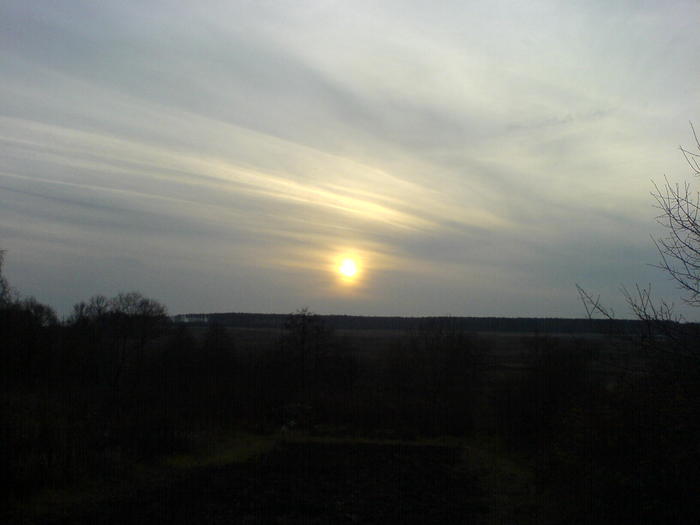 DSC00197.JPG (700x525, 22Kb)