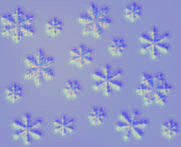 snow21b.jpg (181x147, 13Kb)