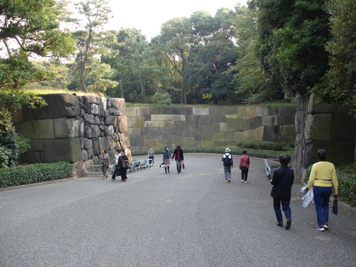 DSC00554.JPG (700x525, 111Kb)