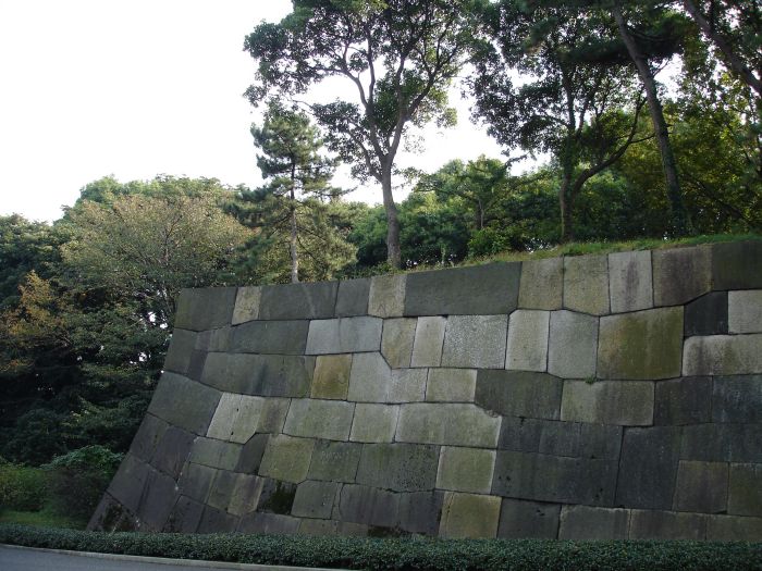 DSC00555.JPG (700x525, 105Kb)