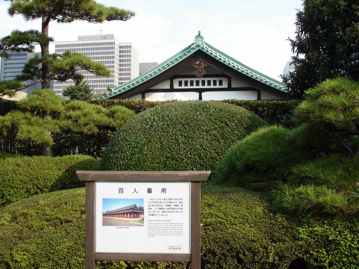 DSC00559.JPG (700x525, 128Kb)