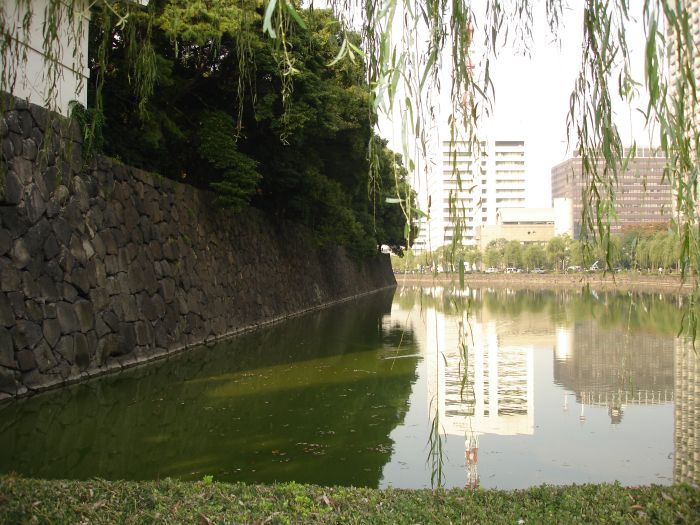DSC00571.JPG (700x525, 101Kb)